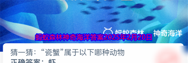 猜一猜：“瓷蟹”属于以下哪种动物