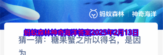 猜一猜糖果蟹之所以得名是因为