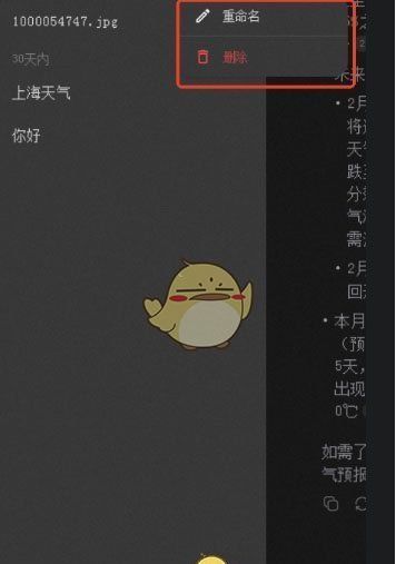 《DeepSeek》历史记录删除方法介绍