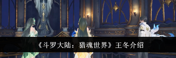 《斗罗大陆：猎魂世界》王冬介绍