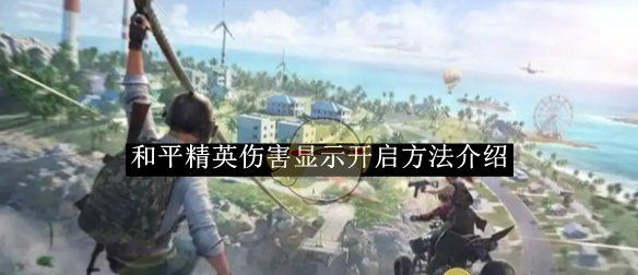 《和平精英》伤害显示开启方法介绍