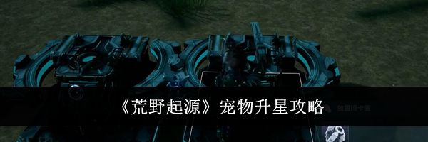 《荒野起源》宠物升星攻略