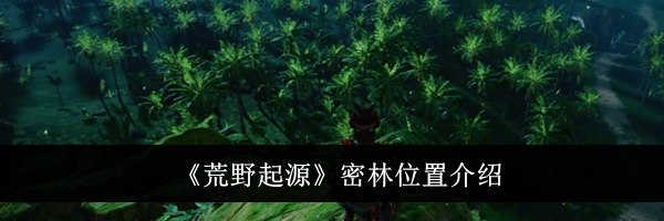 《荒野起源》密林位置介绍