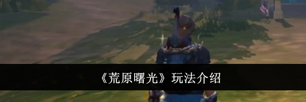 《荒原曙光》玩法介绍