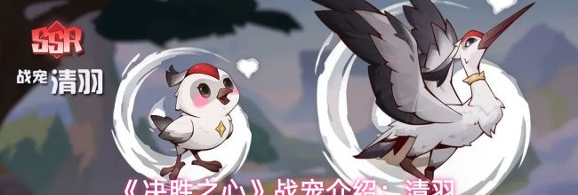 《决胜之心》战宠介绍：清羽
