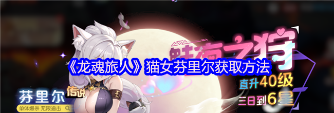 《龙魂旅人》猫女芬里尔获取方法