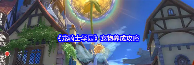 《龙骑士学园》宠物养成攻略