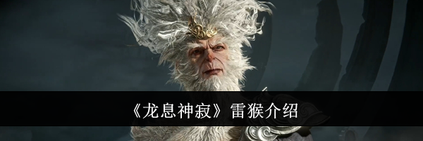 《龙息神寂》雷猴介绍