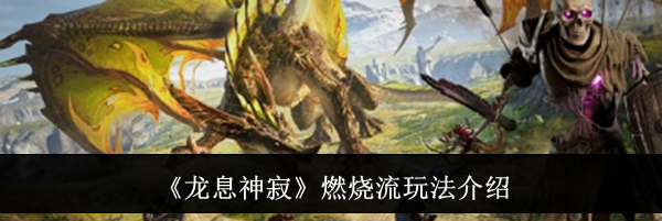 《龙息神寂》燃烧流玩法介绍