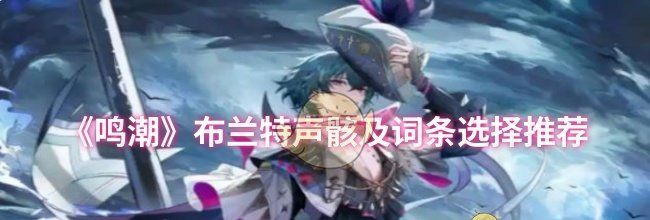 《鸣潮》布兰特声骸及词条选择推荐