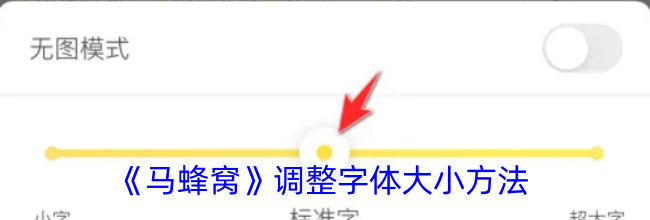 《马蜂窝》调整字体大小方法