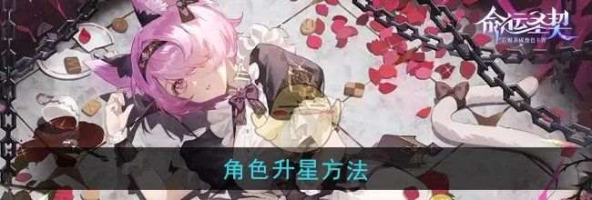 《命运圣契》角色升星方法