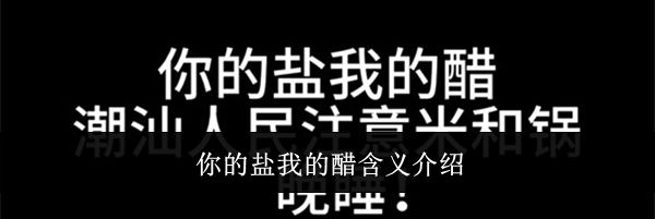你的盐我的醋含义介绍