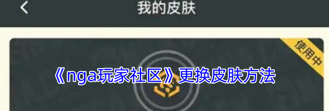 《nga玩家社区》更换皮肤方法