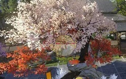 《逆水寒手游》说英雄卡西楼月明获取方法