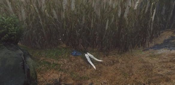 《逆水寒手游》天下无贼奇遇攻略