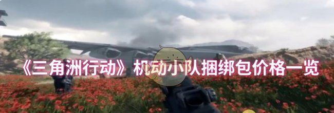 《三角洲行动》机动小队捆绑包价格一览