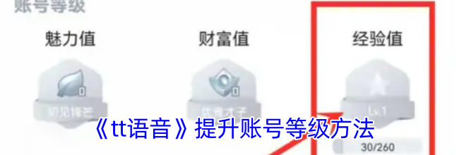 《tt语音》提升账号等级方法