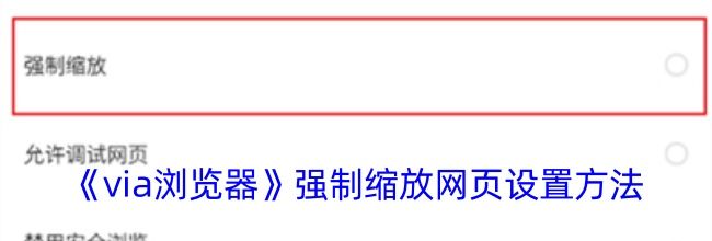 《via浏览器》强制缩放网页设置方法
