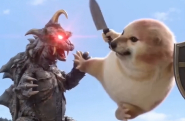 我的刀盾表情包图片大全