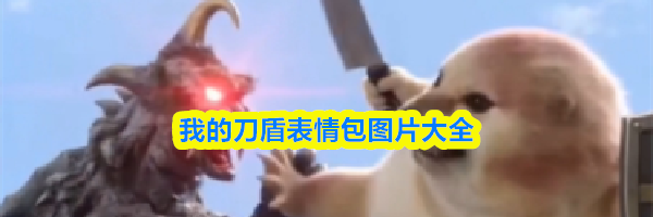 我的刀盾表情包图片大全