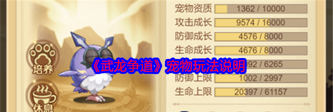 《武龙争道》宠物玩法说明