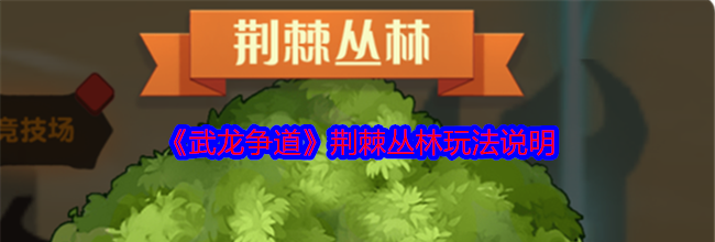 《武龙争道》荆棘丛林玩法说明