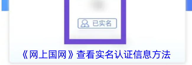 《网上国网》查看实名认证信息方法