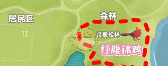 《心动小镇》新春季第3周4只鸟位置
