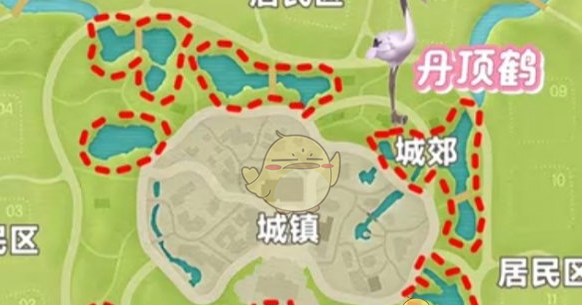 《心动小镇》新春季第3周4只鸟位置
