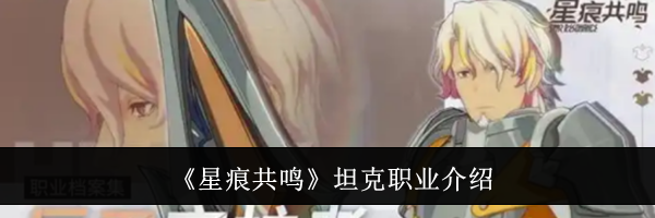 《星痕共鸣》坦克职业介绍