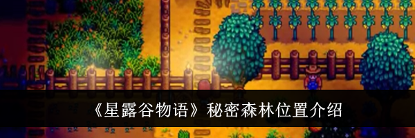 《星露谷物语》秘密森林位置介绍