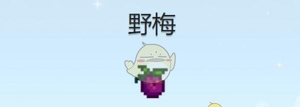《星露谷物语》野梅获得方法