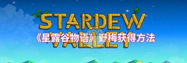 《星露谷物语》野梅获得方法