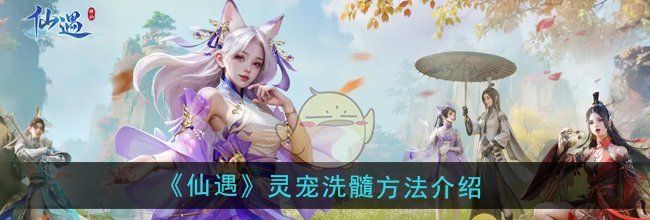 《仙遇》灵宠洗髓方法介绍