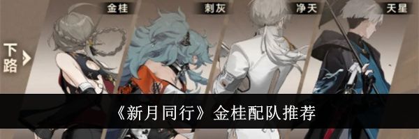 《新月同行》金桂配队推荐