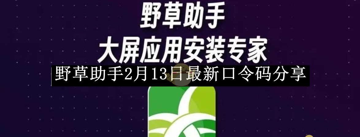 《野草助手》2月13日最新口令码分享