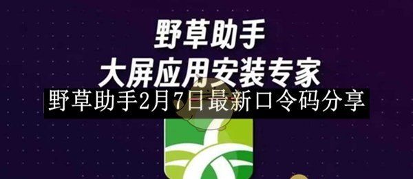 《野草助手》2月7日最新口令码分享