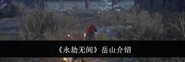 《永劫无间》岳山介绍