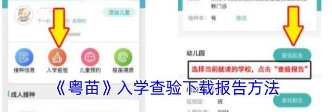 《粤苗》入学查验下载报告方法