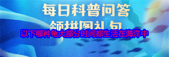 以下哪种龟大部分时间都生活在海洋中
