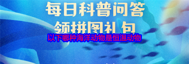 以下哪种海洋动物是恒温动物