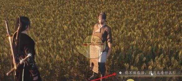 《燕云十六声》开封万事知田中生金任务攻略