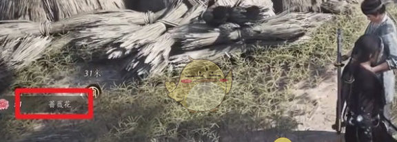 《燕云十六声》蔷薇风信任务完成攻略
