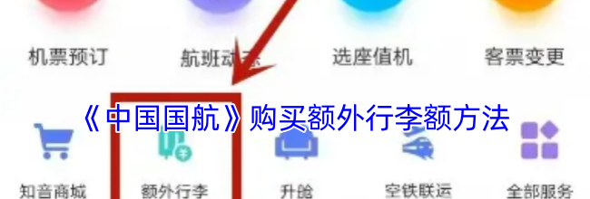 《中国国航》购买额外行李额方法