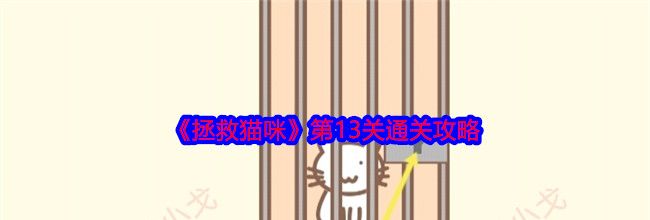 《拯救猫咪》第13关通关攻略