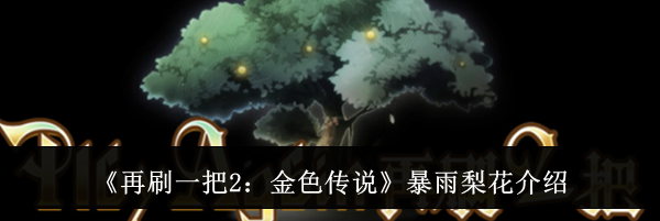 《再刷一把2：金色传说》暴雨梨花介绍