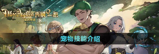 《再刷一把2金色传说》宠物技能介绍