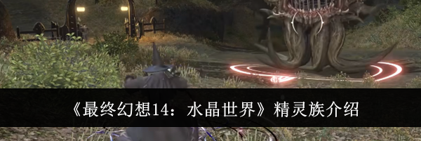 《最终幻想14：水晶世界》精灵族介绍