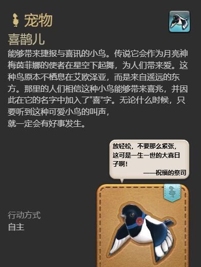 《最终幻想14：水晶世界》喜鹊儿宠物获得方法